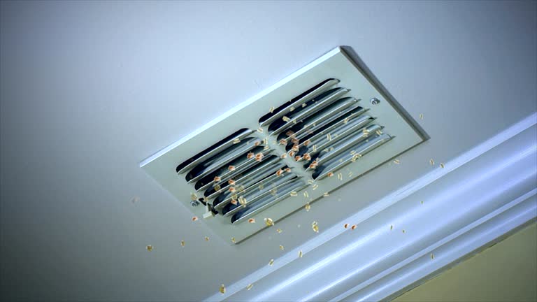Best Air Vent Cleaning Services  in Adams, WI