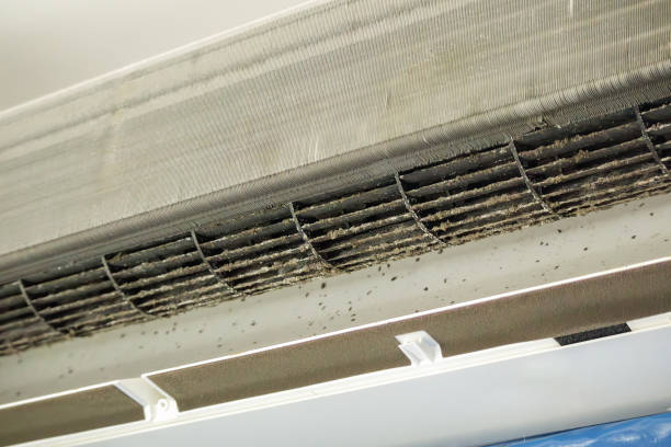 Best Emergency Air Duct Cleaning  in Adams, WI